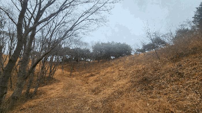 2025타경552 법원경매 사진7 | 경남 사천시 대지,임야,전답 경매