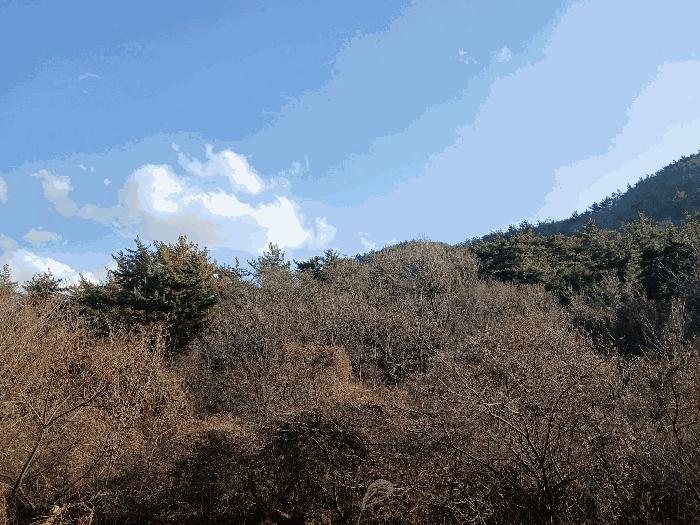 2025타경52418 법원경매 사진5 | 전남 여수시 임야 경매