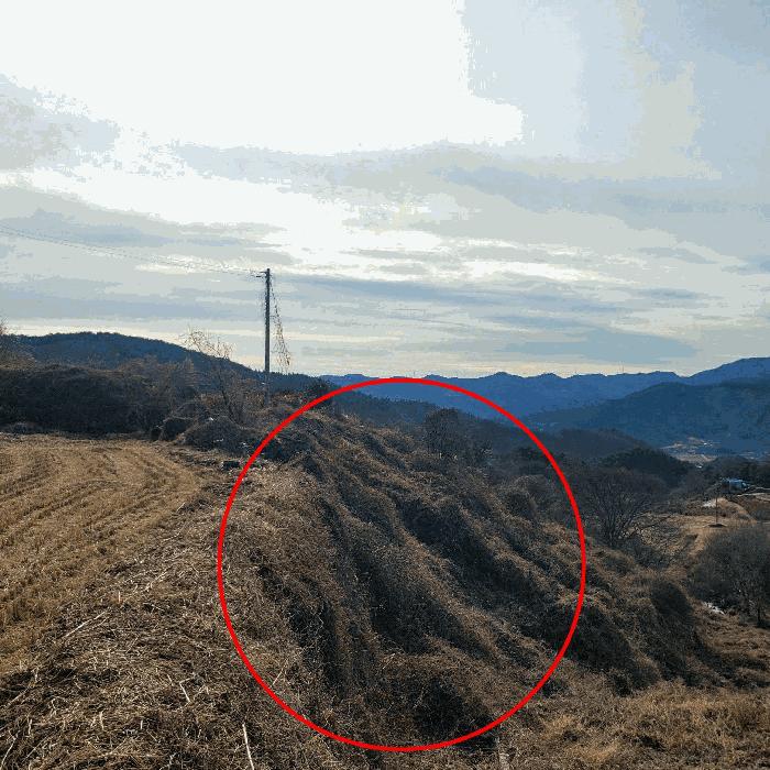전남 순천시 송광면 이읍리 56 답 사진 2