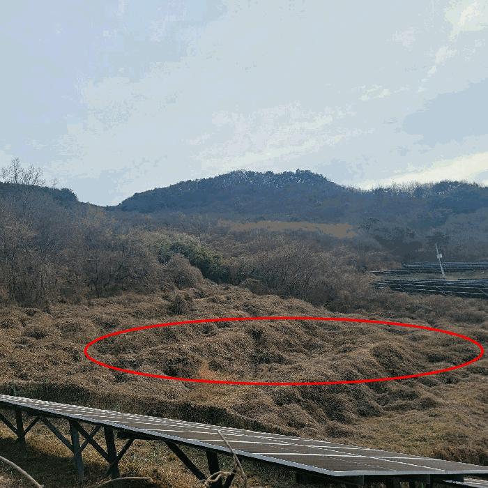 전남 순천시 송광면 이읍리 56 답 사진 5