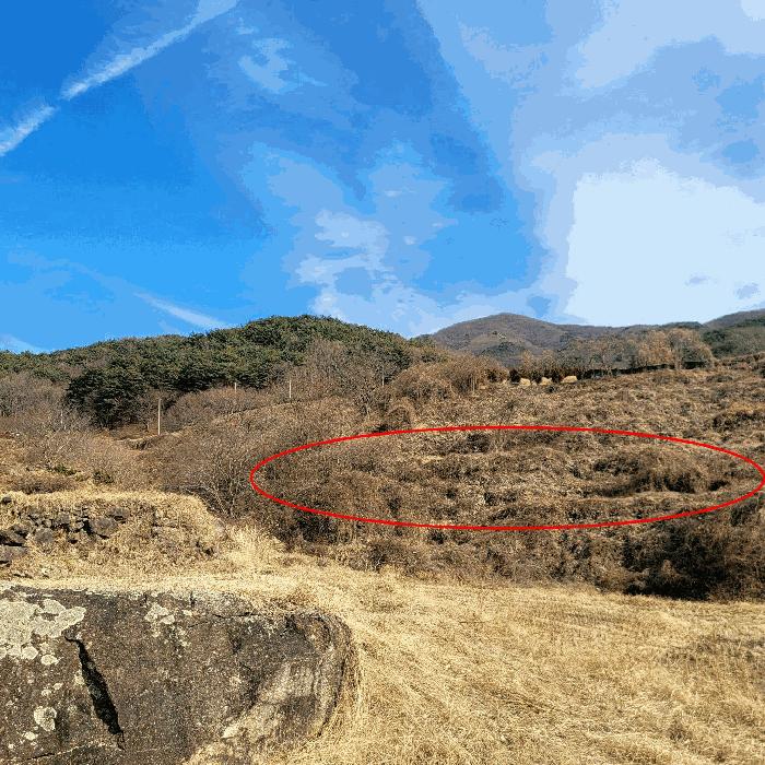 2025타경52489 법원경매 사진8 | 전남 순천시 답 경매