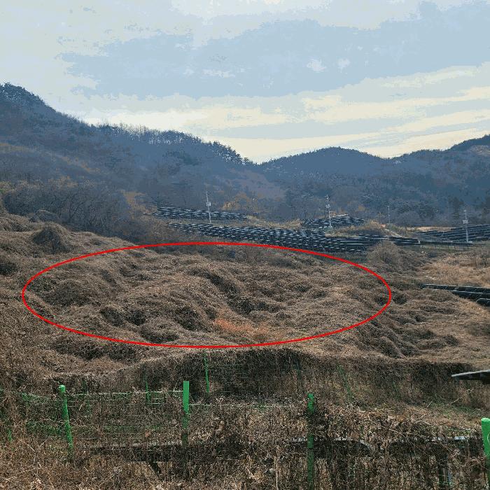 2025타경52489 법원경매 사진9 | 전남 순천시 답 경매