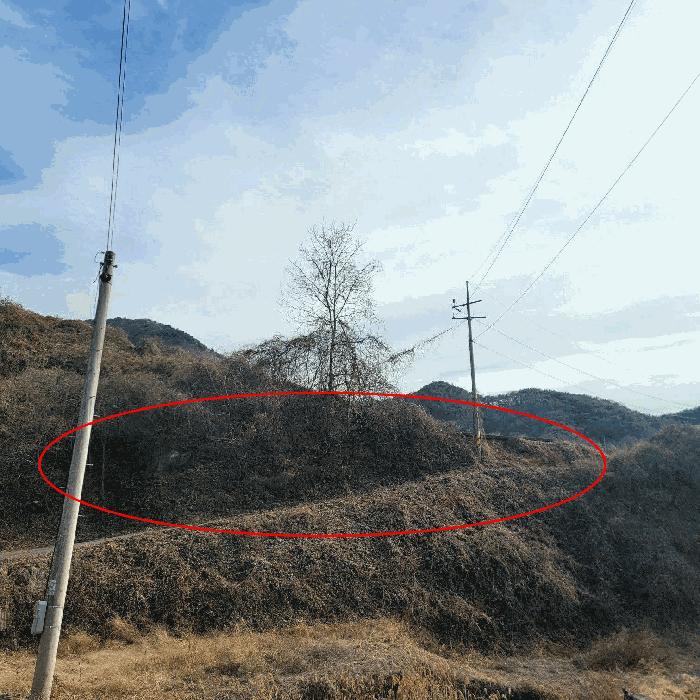 2025타경52489 법원경매 사진3 | 전남 순천시 대지,임야,전답 경매
