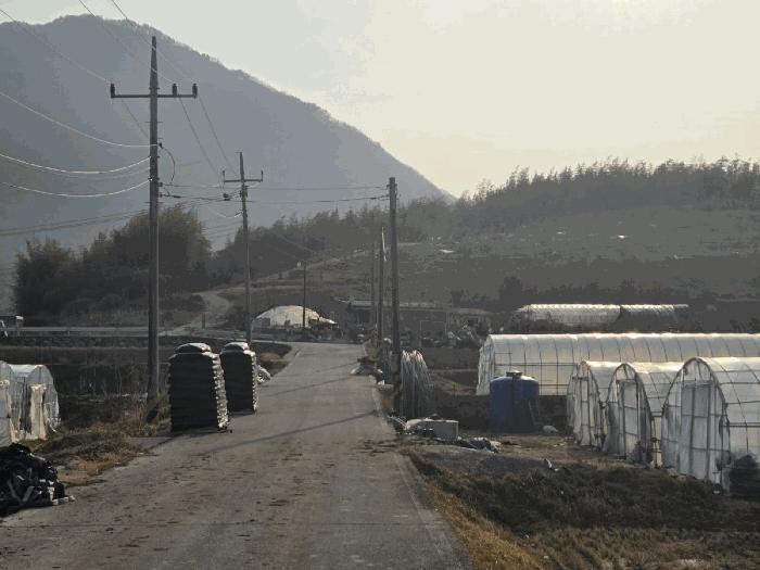 전남 구례군 문척면 월전리 605-1 임야 사진 2