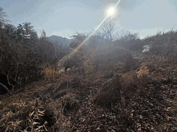 전남 구례군 문척면 월전리 605-1 임야 사진 4