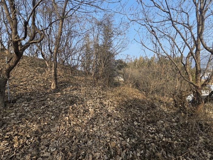 전남 구례군 문척면 월전리 605-1 임야 사진 5