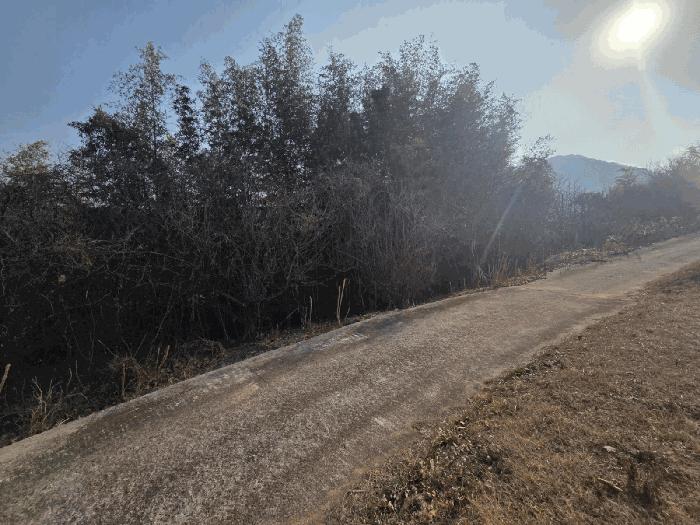 전남 구례군 문척면 월전리 605-1 임야 사진 6