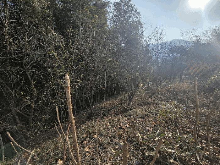 2026타경9 법원경매 사진7 | 전남 구례군 임야 경매