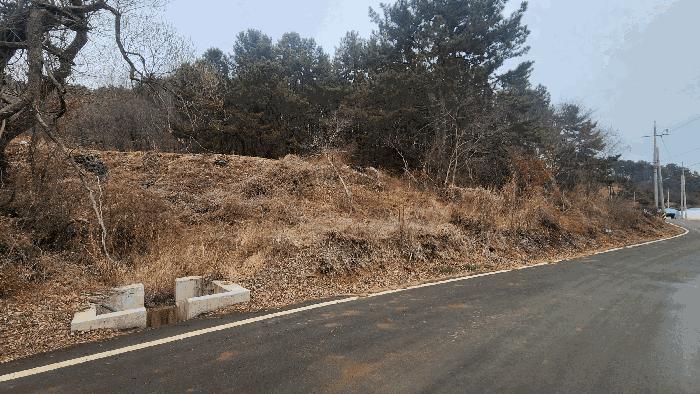 전남 보성군 벌교읍 대포리 580-1 답 사진 2