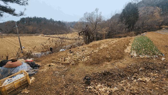 전남 보성군 벌교읍 대포리 580-1 답 사진 3