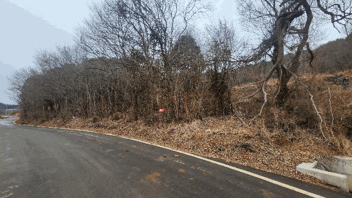 전남 보성군 벌교읍 대포리 580-1 답 사진 4