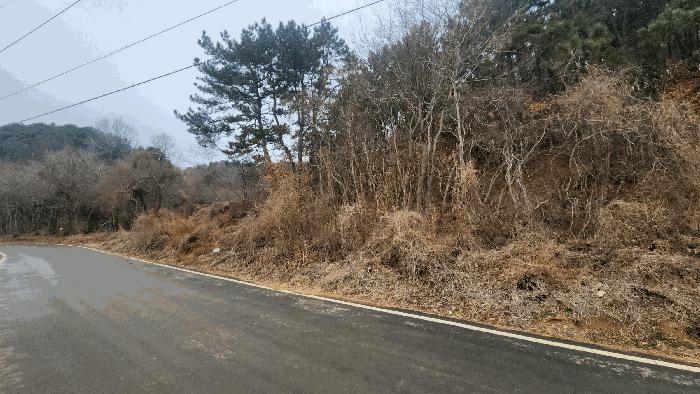 전남 보성군 벌교읍 대포리 580-1 답 사진 5