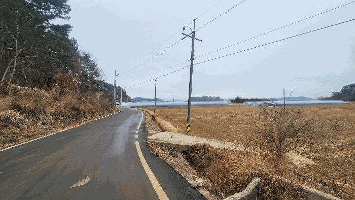 전남 보성군 벌교읍 대포리 580-1 답 사진 6