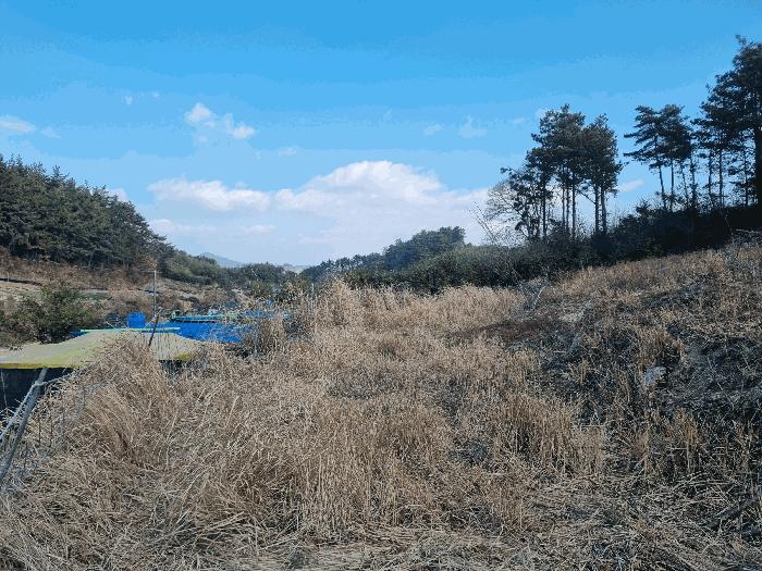 2026타경50045 법원경매 사진6 | 전남 고흥군 전 경매