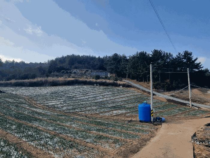전남 고흥군 금산면 석정리 1291 답 사진 4