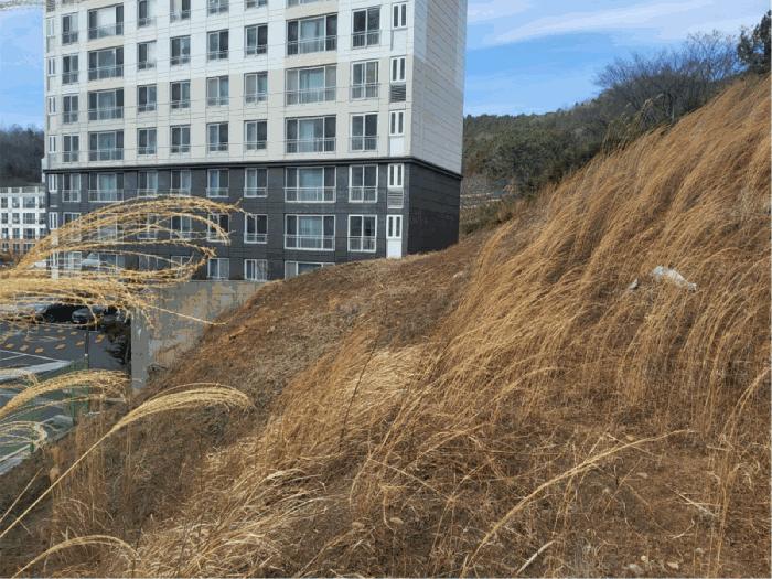 전남 보성군 벌교읍 회정리 407-4 전 사진 4