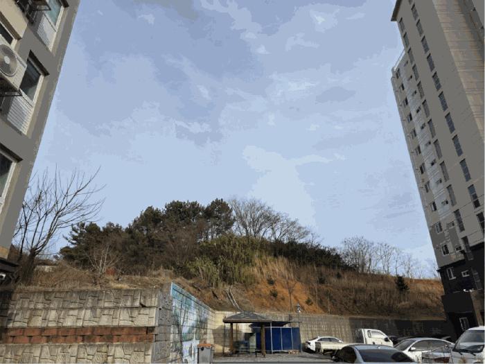 전남 보성군 벌교읍 회정리 407-4 전 사진 5