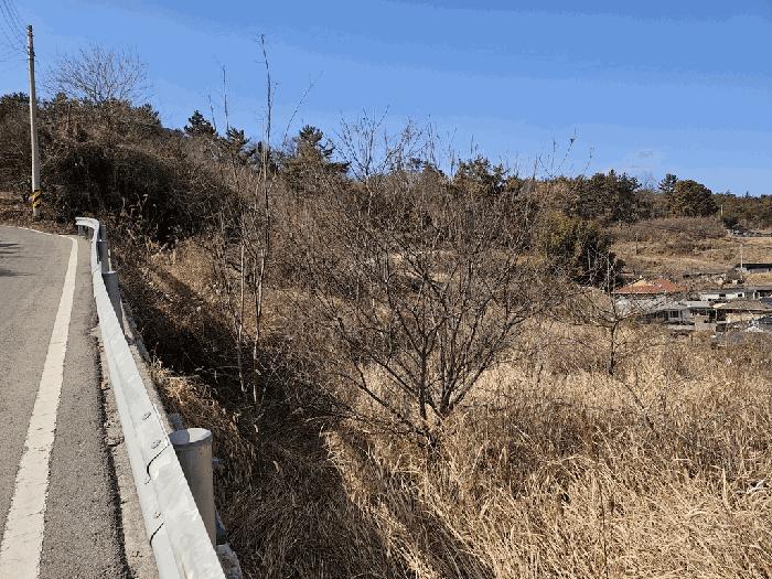 전남 고흥군 두원면 대금리 848-1 답 사진 4