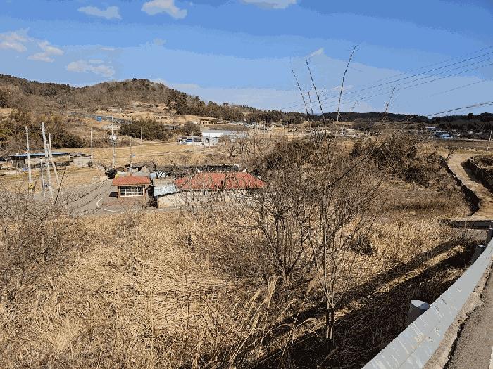 전남 고흥군 두원면 대금리 848-1 답 사진 5