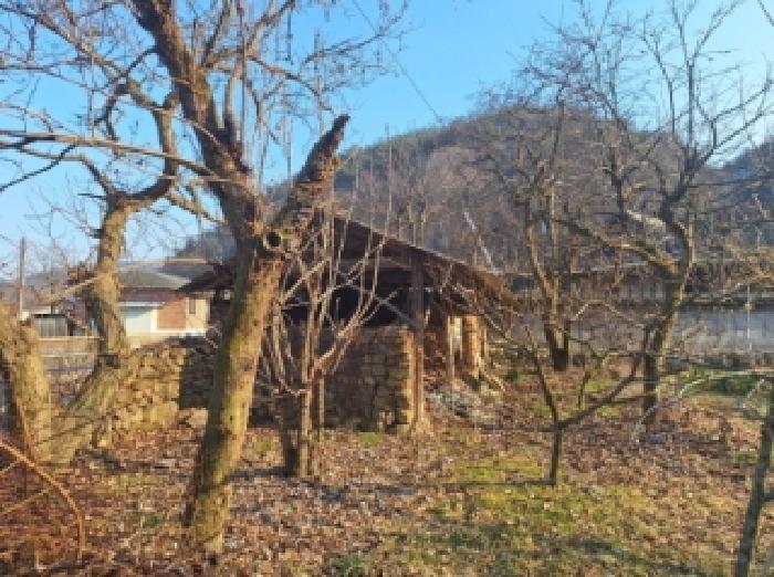 2026타경50115 법원경매 사진18 | 전남 순천시 임야 경매