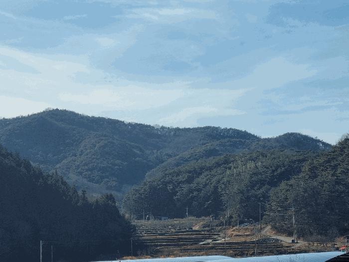 전남 순천시 승주읍 구강리 산107-1 임야 사진 4