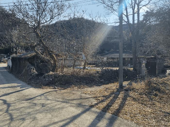 전남 순천시 승주읍 구강리 산107-1 임야 사진 5