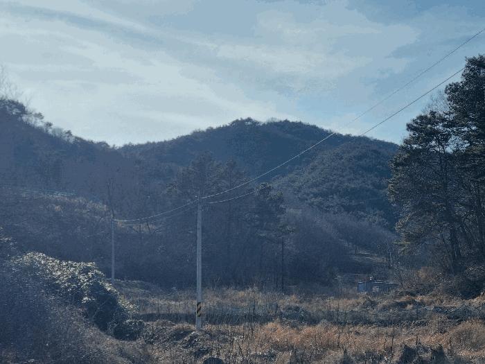 2026타경50115 법원경매 사진8 | 전남 순천시 임야 경매