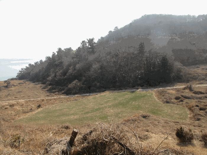 전라남도 고흥군 금산면 신평리 산18-1 법원경매 물건 대표사진