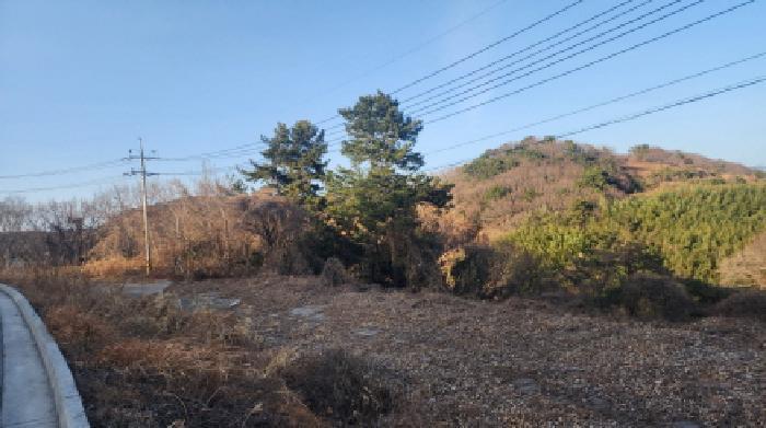 2026타경50157 법원경매 사진8 | 전남 고흥군 임야 경매