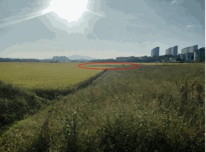 2025타경951 법원경매 사진3 | 경남 사천시 답 경매