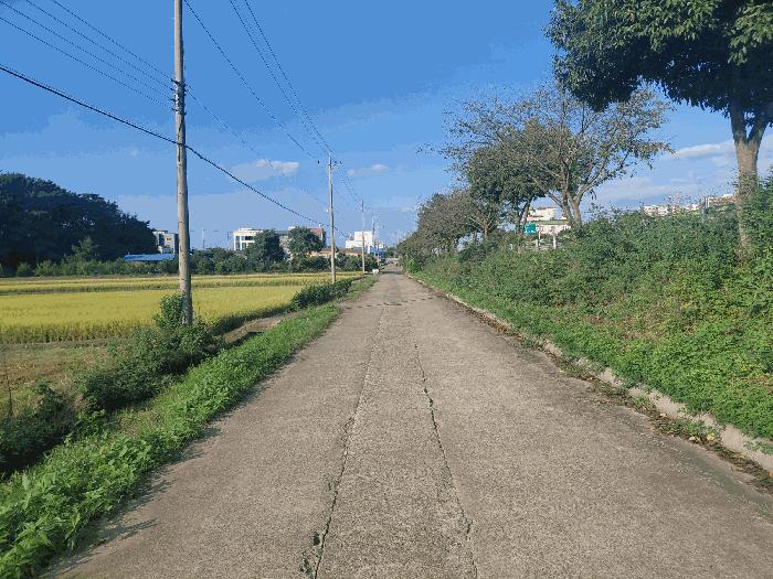 2025타경951 법원경매 사진5 | 경남 사천시 답 경매