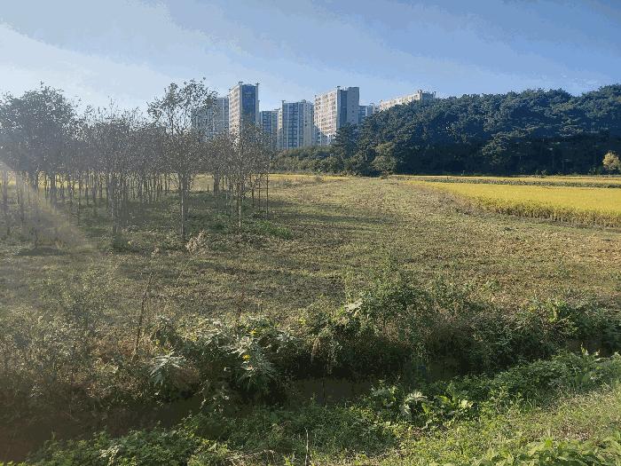 2025타경951 법원경매 사진6 | 경남 사천시 답 경매