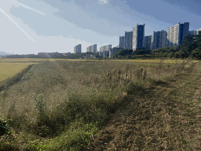 2025타경951 법원경매 사진7 | 경남 사천시 답 경매
