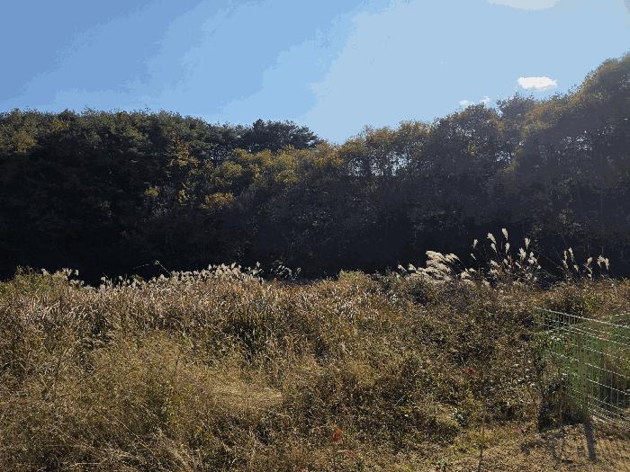 경상남도 산청군 신등면 양전리 350 법원경매 물건 대표사진