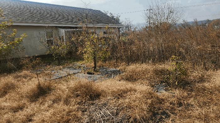 2025타경1022 법원경매 사진3 | 경남 남해군 전답 경매