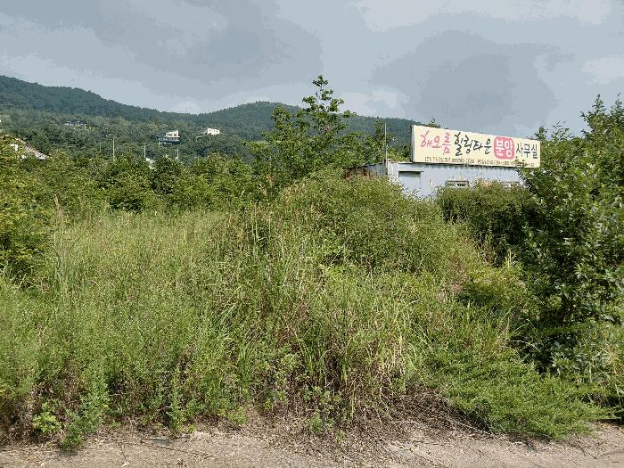 2025타경31146 법원경매 사진3 | 경남 산청군 대지 경매