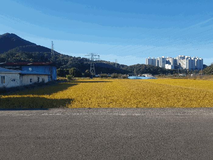 2025타경31296 법원경매 사진3 | 경남 사천시 다세대 경매