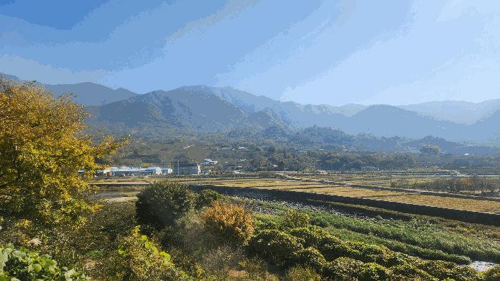 경상남도 하동군 악양면 신성리 960-2 법원경매 물건 대표사진