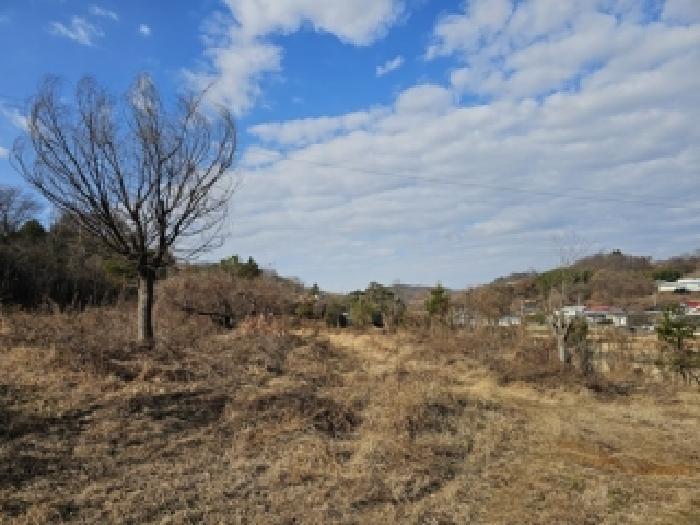 2025타경31348 법원경매 사진15 | 경남 진주시 전 경매