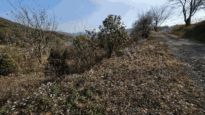 경남 진주시 대곡면 유곡리 213 전 사진 4
