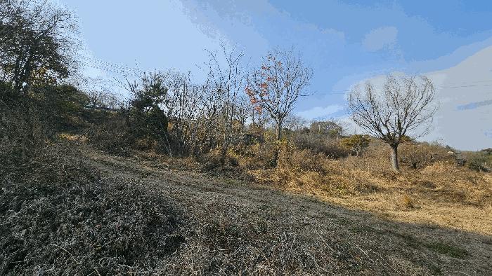 경남 진주시 대곡면 유곡리 213 전 사진 6