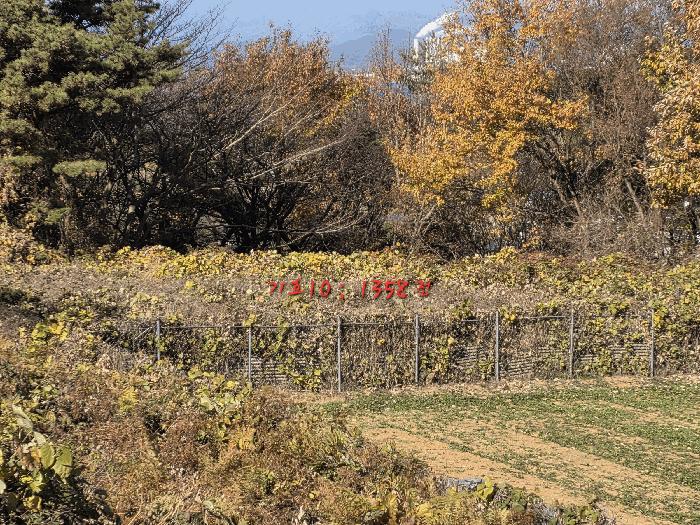 2025타경31379 법원경매 사진7 | 경남 남해군 전 경매