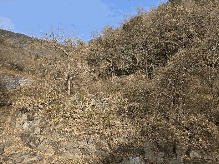 경상남도 사천시 이홀동 441 법원경매 물건 대표사진