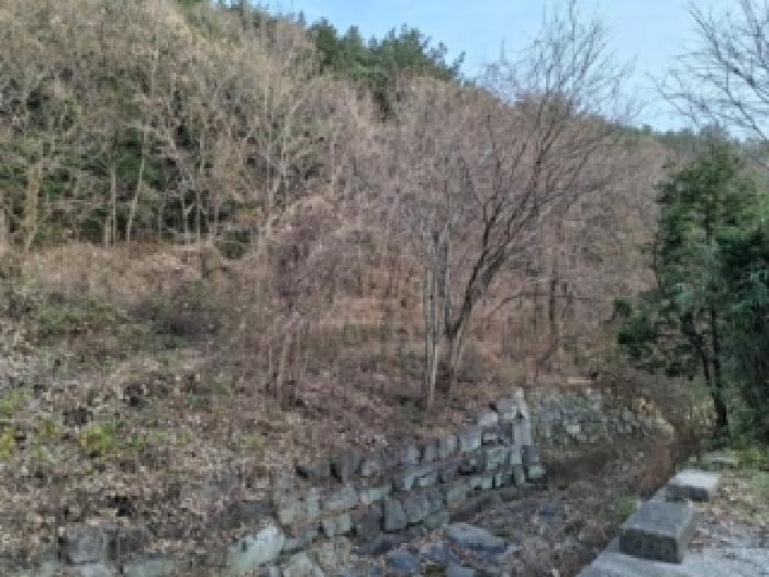 2025타경31440 법원경매 사진5 | 경남 사천시 전답 경매