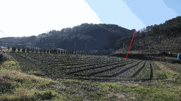 경상남도 남해군 서면 서상리 1435-4 법원경매 물건 대표사진