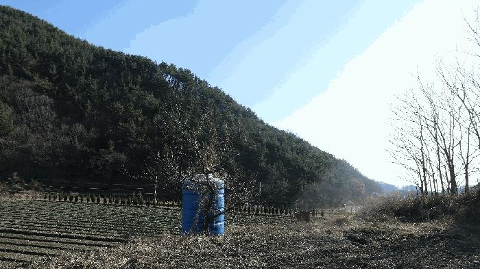 2025타경31446 법원경매 사진4 | 경남 남해군 전답 경매