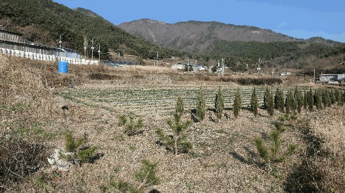 2025타경31446 법원경매 사진5 | 경남 남해군 전답 경매