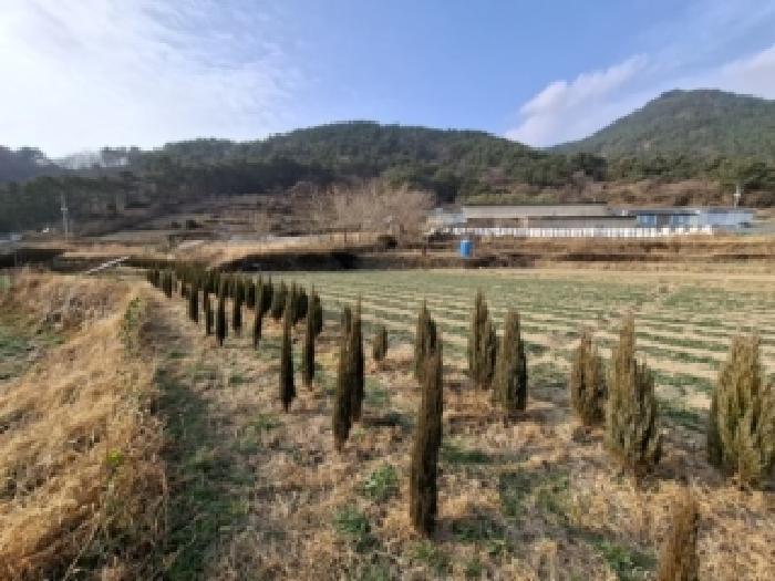 2025타경31446 법원경매 사진8 | 경남 남해군 전답 경매