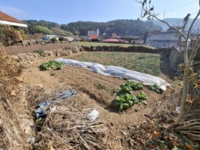 법원경매 2025타경31500 사진13 | 남해군 미조면 주택건물 경매