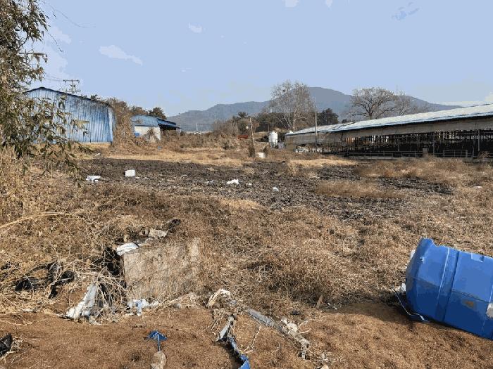 전북특별자치도 김제시 금산면 용산리 175 법원경매 물건 대표사진